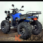 Квадроцикл YS300CC medium — изображение 2